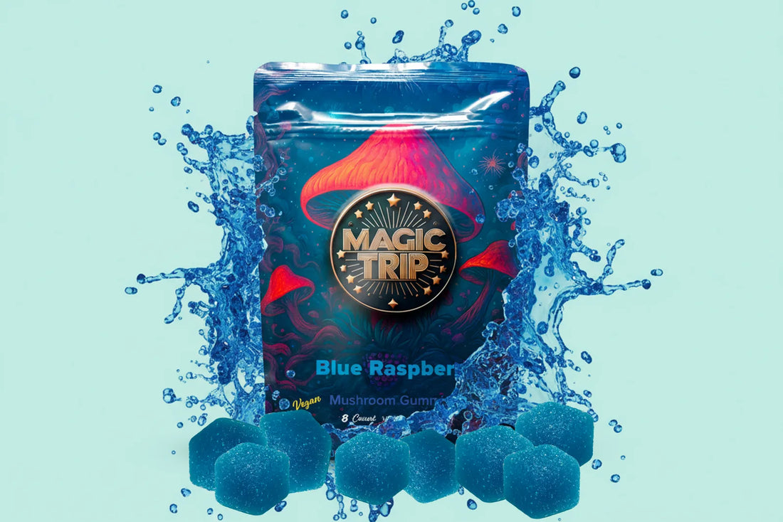 Magic Trip Mushroom Gummies, Blue Raspberry, second view of the 8 count pouch