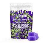 Binoid Astral Plane Mushroom Gummies, Blackberry Honeydew, 15 count pack front