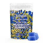 Binoid Astral Plane Mushroom Gummies, Blueberry Lemon, 15 count pack front