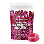 Binoid Astral Plane Mushroom Gummies, Strawberry Lychee, 15 count pack front