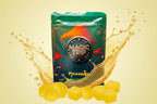 Magic Trip Mushroom Gummies, Pineapple, 8 count pouch