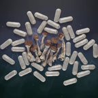So Psilo Magic Mushroom Capsules, vegan capsules with ground mushroom