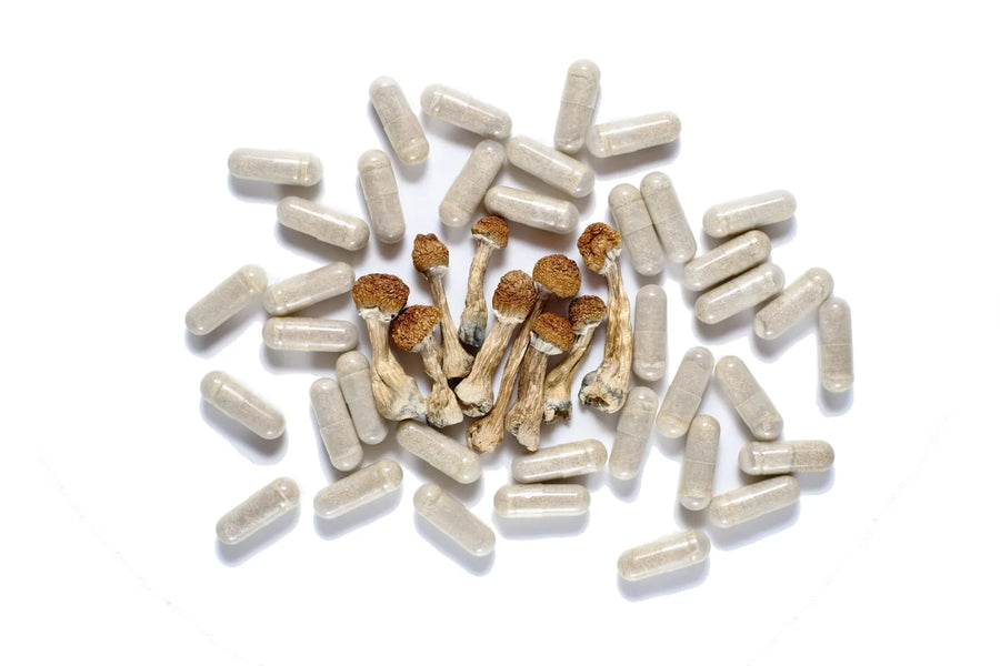 So Psilo Magic Mushroom Capsules with dried mushrooms
