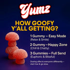 Yumz Magic Nootropic Gummies, additional product view
